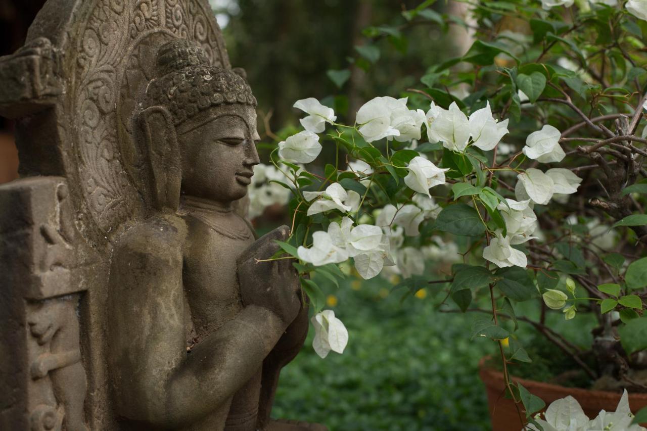 Soma Manaltheeram Ayurveda Beachvillage Kovalam Esterno foto